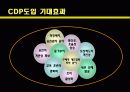 CDP사례발표ppt 20페이지