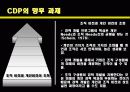 CDP사례발표ppt 21페이지