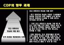 CDP사례발표ppt 22페이지