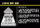 CDP사례발표ppt 24페이지