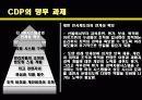 CDP사례발표ppt 25페이지