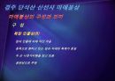 단석산 신선사 마애불상 .ppt, 23페이지
