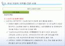 [CSR] 기업의 글로벌 사회적 책임 (CSR) 실행과 사례 29페이지