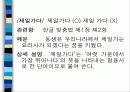 초등학교 교과서와 관련된 아동도서의 어문 규범 준수 실태 조사 14페이지