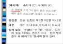 초등학교 교과서와 관련된 아동도서의 어문 규범 준수 실태 조사 41페이지