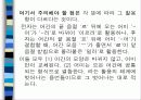초등학교 교과서와 관련된 아동도서의 어문 규범 준수 실태 조사 49페이지