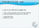  각국의 지역 중소기업 지원 정책 29페이지