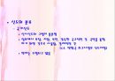 일본의 종교  11페이지