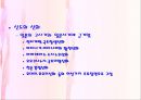 일본의 종교  14페이지