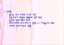 일본의 종교  17페이지