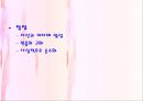 일본의 종교  18페이지