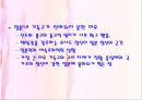 일본의 종교  22페이지