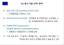 유럽연합 각 국의 중소기업 인력수급 지원 정책  8페이지
