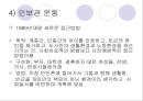 미국 사회복지 발달사 ppt 14페이지
