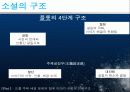 영상의 각색과변형 10페이지