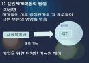 일반 체계적론적 관점 생태체계관점 4페이지