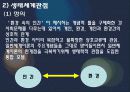 일반 체계적론적 관점 생태체계관점 12페이지