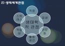 일반 체계적론적 관점 생태체계관점 13페이지