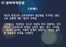 일반 체계적론적 관점 생태체계관점 18페이지