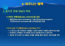e-비즈니스 프레임웍(framework) 28페이지