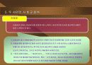 김일엽, 나혜석 시인 비교 분석 21페이지