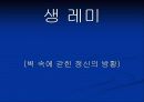 빈센트 반 고흐 13페이지