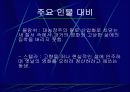  욕망이라는 이름의 전차 피피티 8페이지