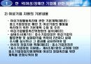 각국의 소규모기업 및 세이프티넷  지원정책( 영세기업위한특별융자및신용보증제도, 소규모기업 지원정책, 신용보증 제도, 세이프티넷 조사, 세이프티넷 분석, 세이프티넷 소개, 세이프티넷 개요, 세이프티넷 개관) 29페이지