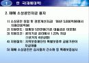 각국의 소규모기업 및 세이프티넷  지원정책( 영세기업위한특별융자및신용보증제도, 소규모기업 지원정책, 신용보증 제도, 세이프티넷 조사, 세이프티넷 분석, 세이프티넷 소개, 세이프티넷 개요, 세이프티넷 개관) 52페이지