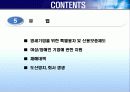 각국의 소규모기업 및 세이프티넷  지원정책( 영세기업위한특별융자및신용보증제도, 소규모기업 지원정책, 신용보증 제도, 세이프티넷 조사, 세이프티넷 분석, 세이프티넷 소개, 세이프티넷 개요, 세이프티넷 개관) 91페이지