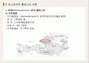 각국의 중소기업 지역 지원정책 EU(클러스터 중심으로) 42페이지