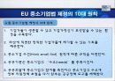 각국의 중소기업 현황 및 실태(EU및 가맹국) 7페이지