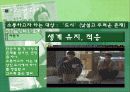  [북경자전거 중국 6세대 영화] 10페이지