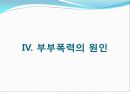 [결혼과가족] 부부폭력 실태조사 및 개선방안에 대한 고찰 25페이지