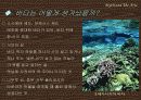 [신화와예술] 신화의 에피소드를 중심으로 한 오세아니아 신화 9페이지