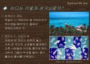 [신화와예술] 신화의 에피소드를 중심으로 한 오세아니아 신화 10페이지