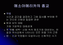 아즈텍 신화 2페이지