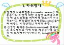 섭식장애 4페이지