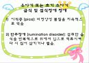섭식장애 6페이지