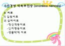 섭식장애 12페이지