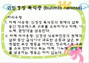 섭식장애 16페이지