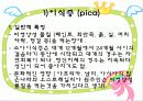 섭식장애 25페이지