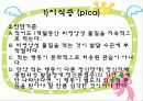 섭식장애 26페이지