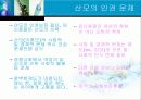 임신중절 8페이지