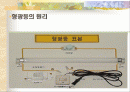 [공학] 형광등의 원리 2페이지