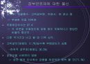 [한국정치론] 관료제 19페이지