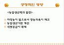 [한국현대사] 남한의 토지개혁 26페이지