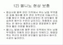 지구온난화 및 교토의정서 15페이지