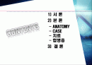 비장파열 (Ruptured spleen) 2페이지