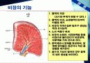 비장파열 (Ruptured spleen) 5페이지